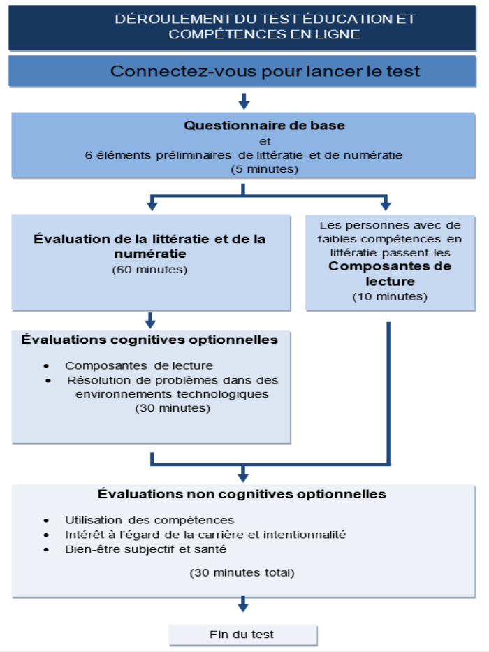Education and Skills Online - Testing Flow (French)